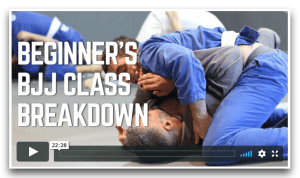 Bonus 3 - Class Breakdown