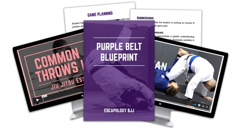 Purple Belt Blueprint Product Image