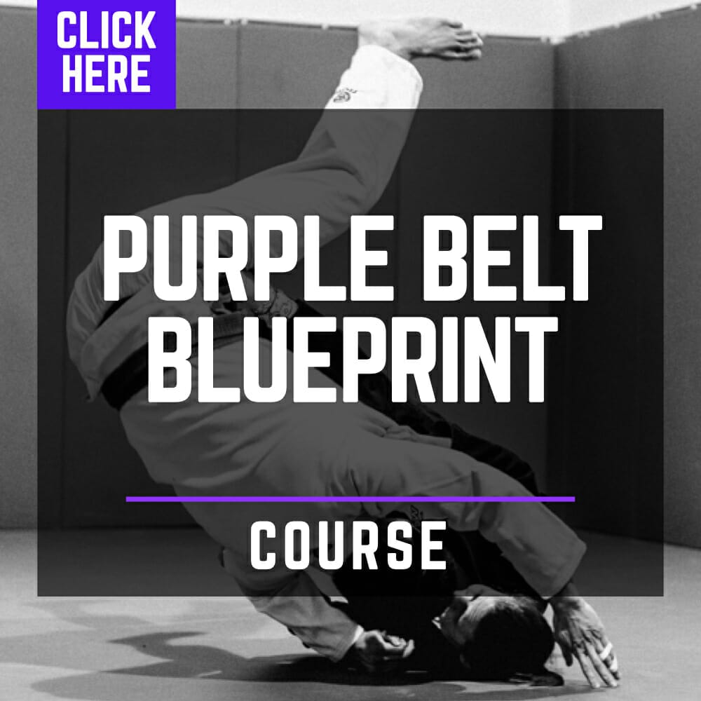 Purple Belt Blueprint