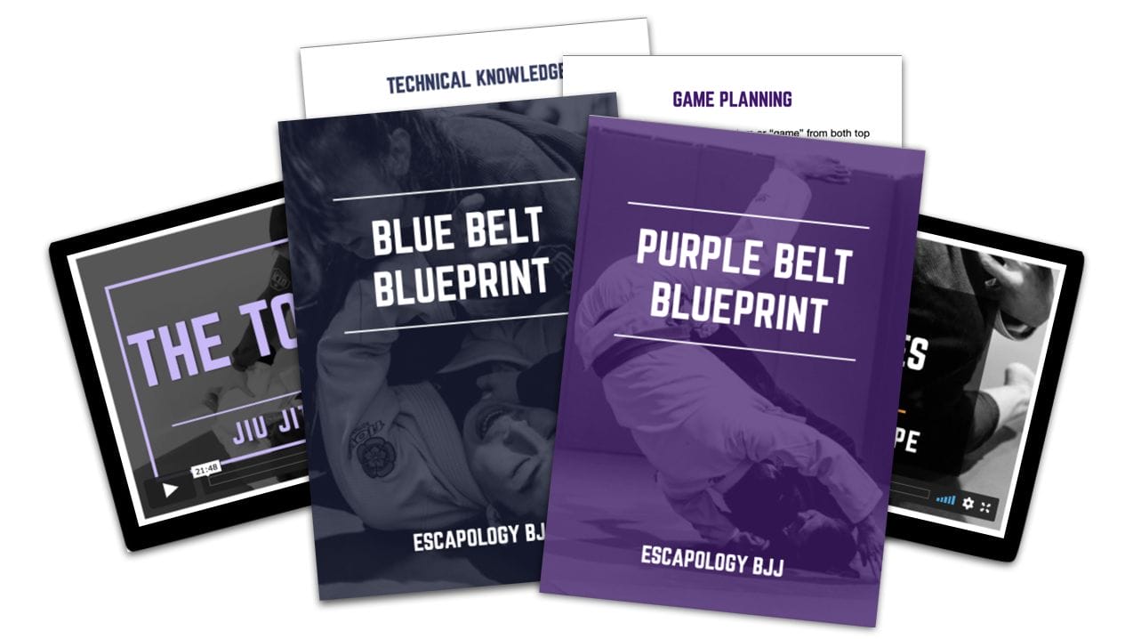 Blue & Purple Belt Blueprint - Product Image